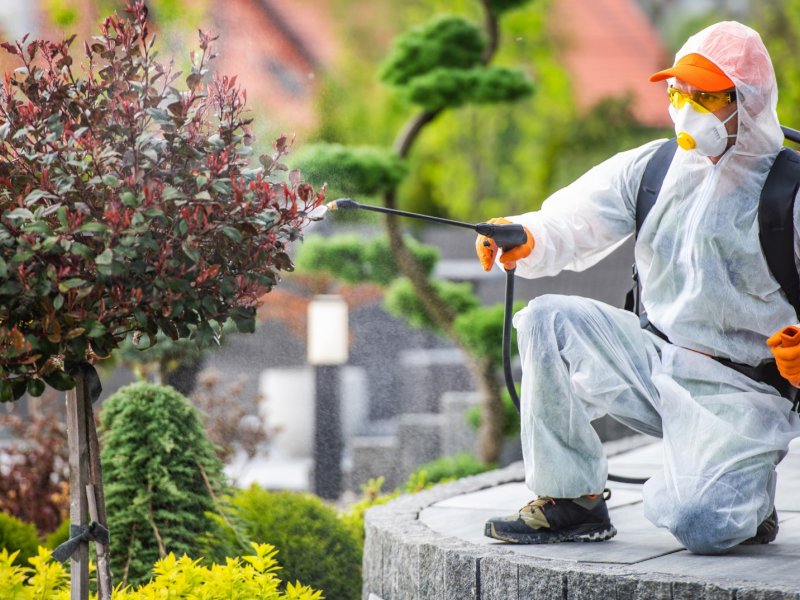 Bostanlı Haşere İlaçlama